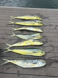 December fishing trip