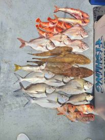 Memorable Fishing Experience!!