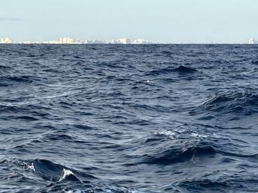 Amazing fishing Charter