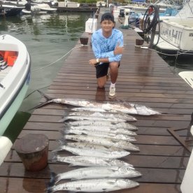 Marlin and 10 barracuda