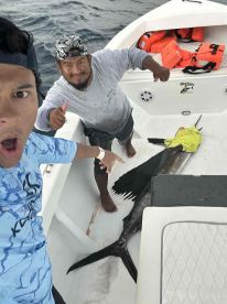 Marlin and 10 barracuda