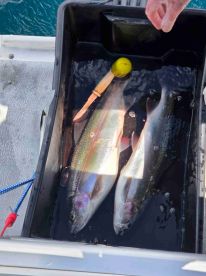 Nick was awesome, great catch and chats