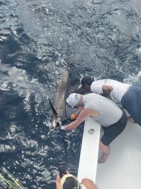 Full day offshore trip with Captain Butch Carlson and Christian