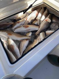 December fishing trip