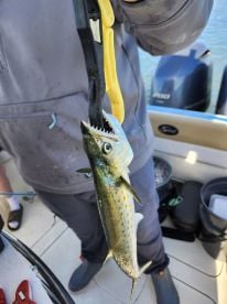 Great with children of all ages!