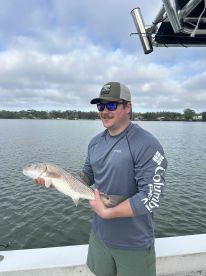 good day on tampa bay