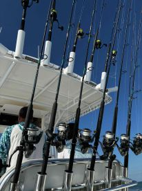 Absolutely Loved It !!!!!!! 