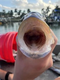 Great family session