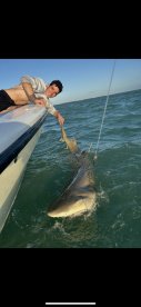 Unbelievable 2 evening shark fishing