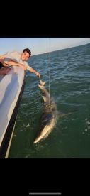 Unbelievable 2 evening shark fishing