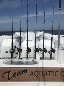 Great 6hr trip with Captain Harris 