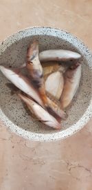 July fishing trip