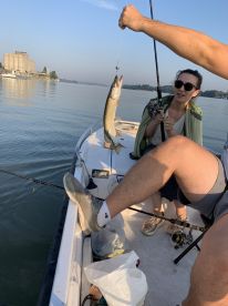 Great experience, highly recommended