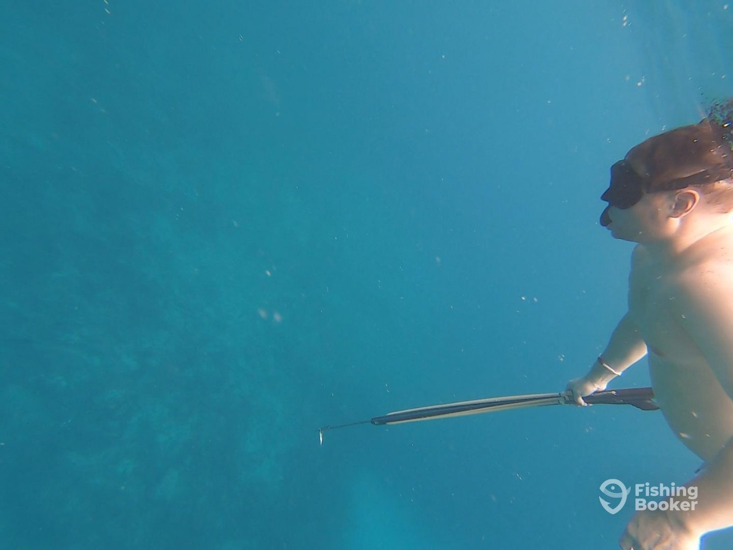 Spearfishing Today Tulum Tulum Updated 2021 Prices Fishingbooker