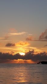 3/4 day morning charter