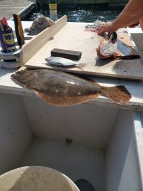 August fishing trip