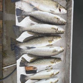 Amazing Morning catching Trout with Capt. Jake