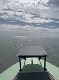 Half day fly and spin rod sight fishing