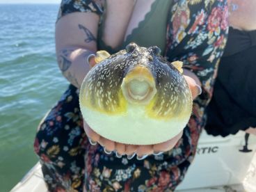 Half day turned full day with Capitan Dustin! 