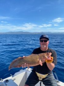 Conger Eel