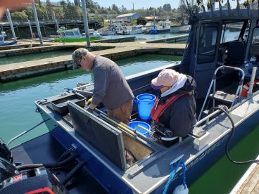 Great day with Captain Steve