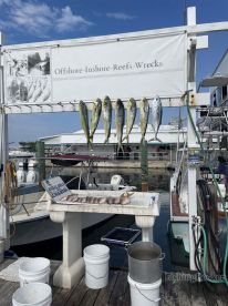 Full day 9 hour trip offshore