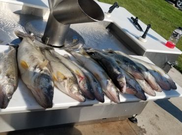 Full day trip