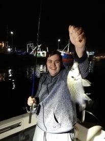 Half day Harbour fishing