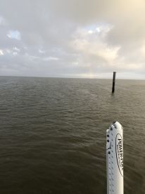 Half day trip