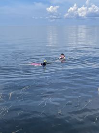 Memories Made Scalloping 