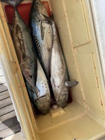Great fishing trip