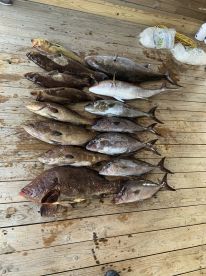 Full day CHS/BSW trip with Captain Todd and his excellent first mate Branson.  Cap but us on the fish early and often and it was an all around pleasure being on his boat.