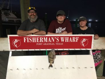 Bay fishing trip