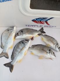April fishing trip