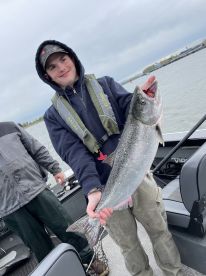 Half sturgeon and half salmon 