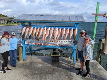 12 Hr Red Snapper