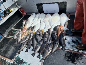 Full day halibut/rockfish 