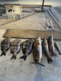 Late day trip with Capt. Gavin