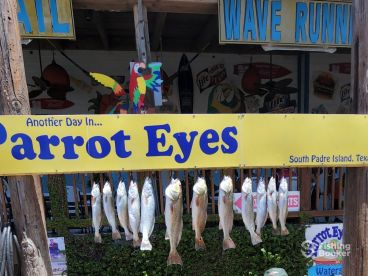 Half Day with Paco Hinojosa 