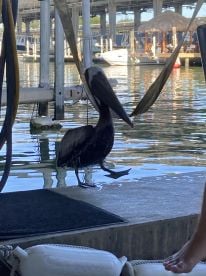 July fishing trip