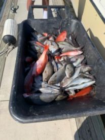 July fishing trip
