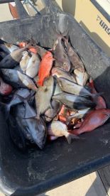 July fishing trip