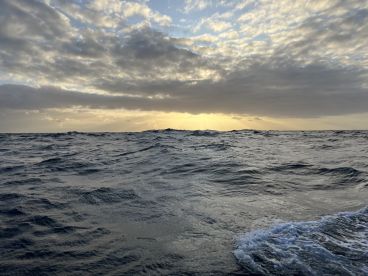Morning fishing with the boys
