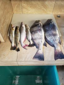 Fishing with James