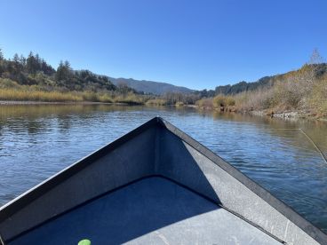 Great day for viewing fish