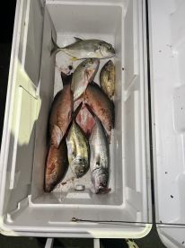 Top Notch Night Fishing Trip
