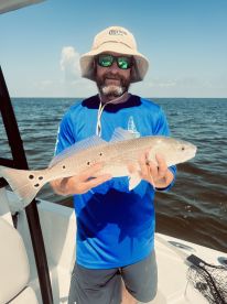 Fish on