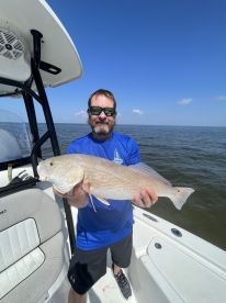 Fish on
