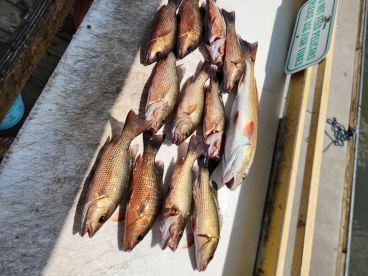 March fishing trip