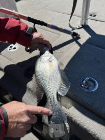 March fishing trip